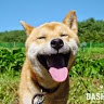 由 ching08091215 (刊登 ID 1382804780，圖片 1) 提交，位於 的 (類別：)，說明：。