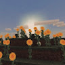 (Category: ) located in . Submitted by jjjjjiaminnn (Listing ID 1380908977, Image 1). Description: .