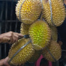 (Kategori: ) berada di . Dikirim oleh gunaones57340 (ID iklan 1365032321, Gambar 1). Deskripsi: .