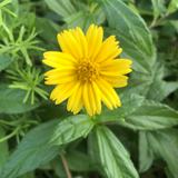 （分類：）位於 。 由 ha1812 提交（商品編號 1382141417，圖片 1）。簡介： 。