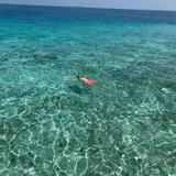 (Category: ) located in . Submitted by labaude (Listing ID 1307107671, Image 1). Description: .