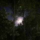 (Category: ) located in . Submitted by userlovesavocados (Listing ID 1367829492, Image 1). Description: .