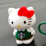 由 cclion6349414 (刊登 ID 1339011635，圖片 1) 提交，位於 的 (類別：)，說明：。