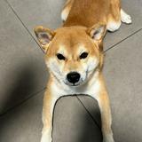 (Category: ) located in . Submitted by ens88 (Listing ID 1380335196, Image 1). Description: .
