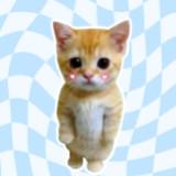 (Category: ) located in . Submitted by xinygen (Listing ID 1330118957, Image 1). Description: .