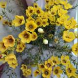 (Category: ) located in . Submitted by beauty_guru (Listing ID 1363978958, Image 1). Description: .