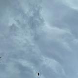 (Category: ) located in . Submitted by princehd08 (Listing ID 1374793085, Image 1). Description: .