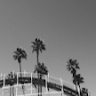 (Category: ) located in . Submitted by hollibelle (Listing ID 1379354722, Image 1). Description: .