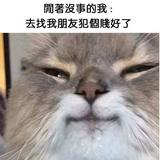 由 kartg00196182211-43084 (刊登 ID 1383837891，圖片 1) 提交，位於 的 (類別：)，說明：。