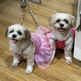 (Category: ) located in . Submitted by perfdestash (Listing ID 1371039964, Image 1). Description: .