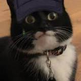 (Category: ) located in . Submitted by thetuxycat (Listing ID 1377503597, Image 1). Description: .