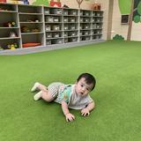 由 olive335 (刊登 ID 1386288393，圖片 1) 提交，位於 的 (類別：)，說明：。