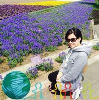 (Category: ) located in . Submitted by ccy1212 (Listing ID 1387413362, Image 1). Description: .