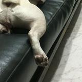 由 garyletter4 (刊登 ID 1380444971，圖片 1) 提交，位於 的 (類別：)，說明：。