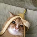 (Category: ) located in . Submitted by potatoyummy (Listing ID 1348386162, Image 1). Description: .