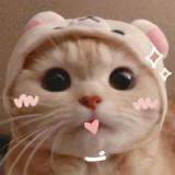 (Category: ) located in . Submitted by rilakittyy (Listing ID 1330532667, Image 1). Description: .