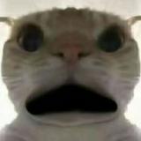 （分類：）位於 。 由 yaaat_sirrrr 提交（商品編號 1384547760，圖片 1）。簡介： 。