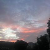(Category: ) located in . Submitted by harriisssss (Listing ID 1381213940, Image 1). Description: .