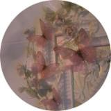(Category: ) located in . Submitted by igcsecambridge (Listing ID 1330375057, Image 1). Description: .