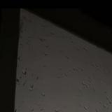 （分類：）位於 。 由 lzy_a.a 提交（商品編號 1382430835，圖片 1）。簡介： 。