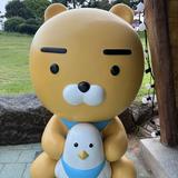 （分類：）位於 。 由 c9loveshopping 提交（商品編號 1369089540，圖片 1）。簡介： 。