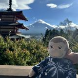 (Category: ) located in . Submitted by curiousgeorgemonkey (Listing ID 1373555909, Image 1). Description: .