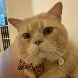 (Category: ) located in . Submitted by michele1122 (Listing ID 1466061400, Image 1). Description: .