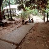 (Category: ) located in . Submitted by murayta1 (Listing ID 1376517024, Image 1). Description: .