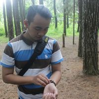 (Kategori: ) berada di . Dikirim oleh rizkygimbi48307 (ID iklan 1360380427, Gambar 1). Deskripsi: .