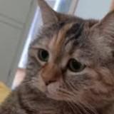 (Category: ) located in . Submitted by dontlowballmee (Listing ID 1382657119, Image 1). Description: .