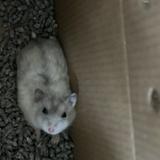 (Category: ) located in . Submitted by jenna__j (Listing ID 1367024820, Image 1). Description: .