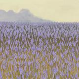 (Category: ) located in . Submitted by xuchesca (Listing ID 1065428863, Image 1). Description: .