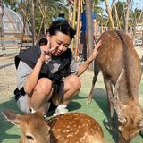 由 yvonnelahh (刊登 ID 1377141258，圖片 1) 提交，位於 的 (類別：)，說明：。