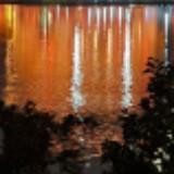 (Category: ) located in . Submitted by ansonfoowm (Listing ID 1380358939, Image 1). Description: .