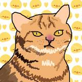(Category: ) located in . Submitted by brunosng (Listing ID 1382369892, Image 1). Description: .