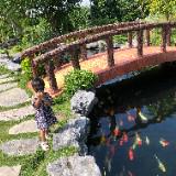 (Category: ) located in . Submitted by nguyenvandung1992 (Listing ID 1383006399, Image 1). Description: .