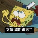 （分類：）位於 。 由 sellsell39 提交（商品編號 1352867908，圖片 1）。簡介： 。