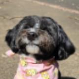 (Category: ) located in . Submitted by soniazar (Listing ID 1331950626, Image 1). Description: .