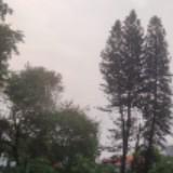 (Kategori: ) berada di . Dikirim oleh rizkivs (ID iklan 1363165027, Gambar 1). Deskripsi: .