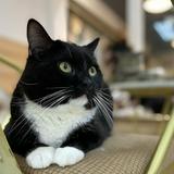 （分類：）位於 。 由 kandis_ 提交（商品編號 1362778676，圖片 1）。簡介： 。