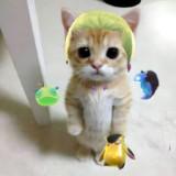 (Category: ) located in . Submitted by berrlios (Listing ID 1343647904, Image 1). Description: .