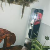 (Category: ) located in . Submitted by mfkhrlrzstore. (Listing ID 1453564334, Image 1). Description: .