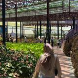 (Category: ) located in . Submitted by najihahyusaini (Listing ID 1354609788, Image 1). Description: .