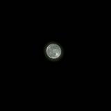 (Category: ) located in . Submitted by py1111 (Listing ID 1375747405, Image 1). Description: .