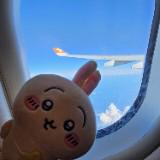 （分類：）位於 。 由 9230674 提交（商品編號 1385829450，圖片 1）。簡介： 。