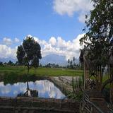 (Kategori: ) berada di . Dikirim oleh ahmul (ID iklan 1305720441, Gambar 1). Deskripsi: .