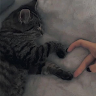 (Category: ) located in . Submitted by abcde_xy (Listing ID 1375908565, Image 1). Description: .