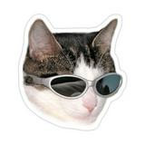 (Category: ) located in . Submitted by helpmestophoarding (Listing ID 1378259514, Image 1). Description: .