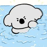由 pidogtaiwan (刊登 ID 1327018865，圖片 1) 提交，位於 的 (類別：)，說明：。