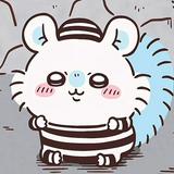 由 kp300854 (刊登 ID 1384146743，圖片 1) 提交，位於 的 (類別：)，說明：。